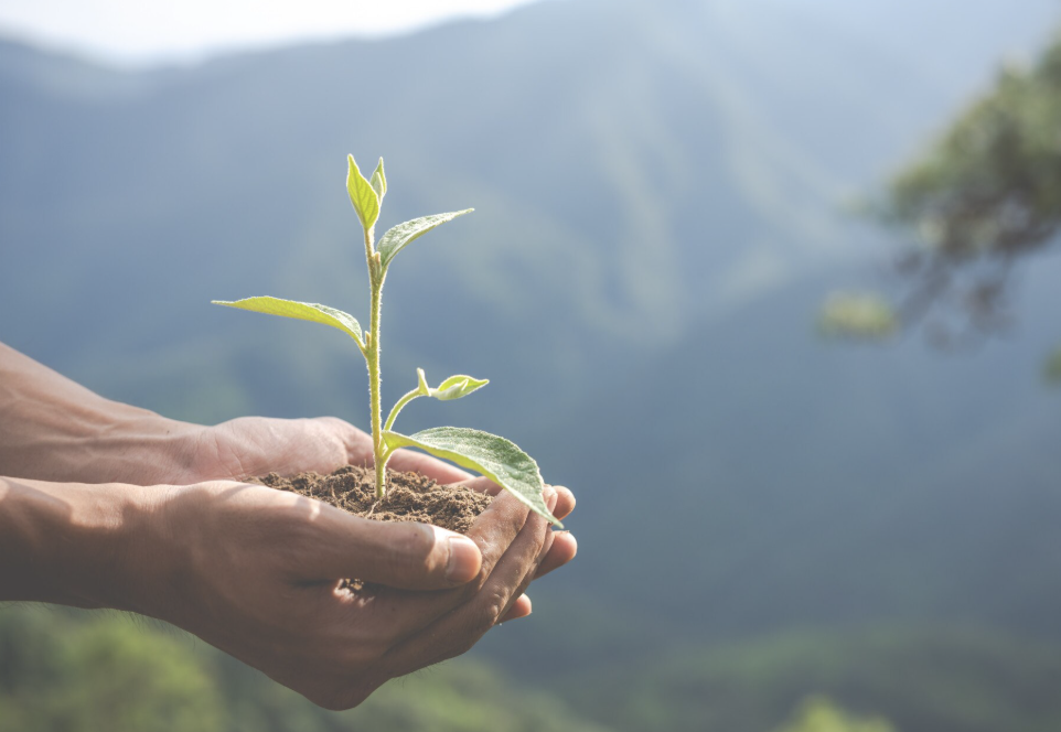 2025 en retrospectiva: los hechos que marcaron el año en cultura, política y tecnología